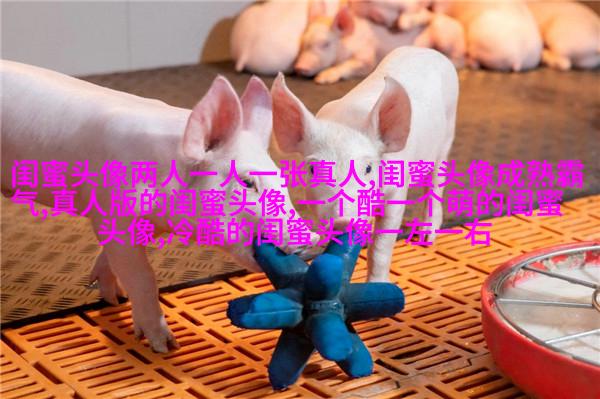 好看两姐妹带字头像