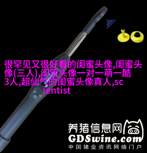 qq头像女生闺蜜两张配一对