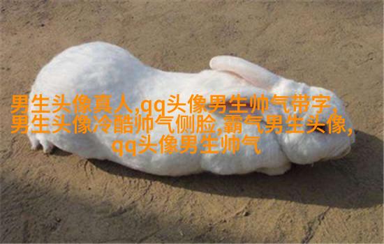 黑白超酷男生帅气qq头像(18张)