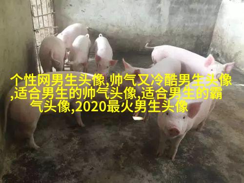 一眼就心动的男生头像图片(共16张)