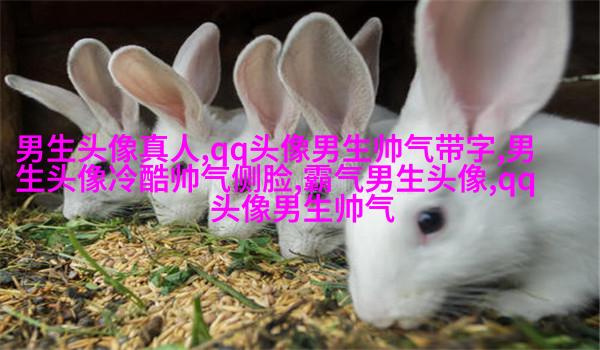 黑白超酷男生帅气qq头像(18张)