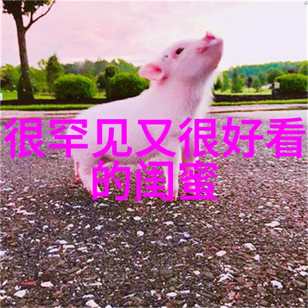qq头像女生闺蜜两张配一对
