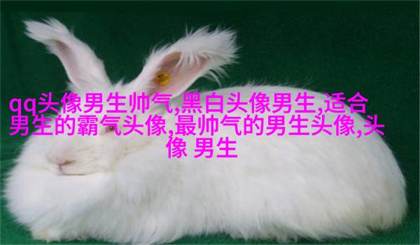 帅气超拽的男生qq头像图片(18张)