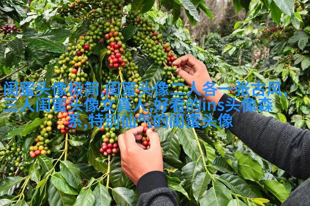 2023最新闺蜜头像一对两张高清图片(优选18张)