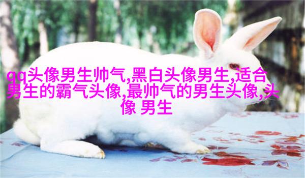 帅气超拽的男生qq头像图片(18张)
