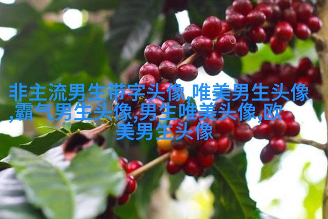 男人最招财的微信头像(共22张)