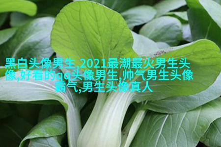 霸气超拽的qq男生头像图片(共18张)