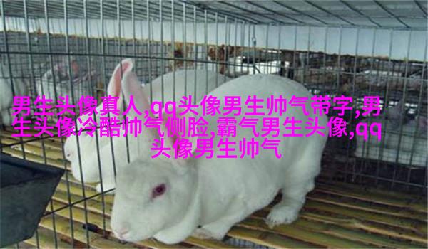 黑白超酷男生帅气qq头像(18张)