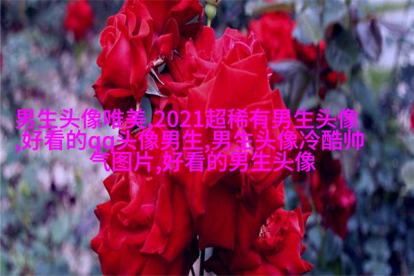 最火头像2023男生图片大全(共24张)