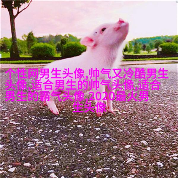 一眼就心动的男生头像图片(共16张)