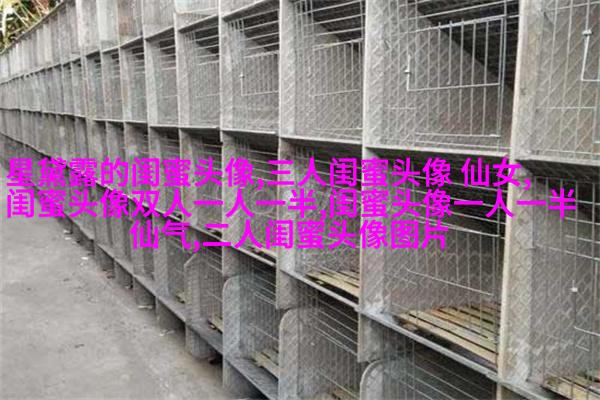 姐妹专属空间头像一对两张
