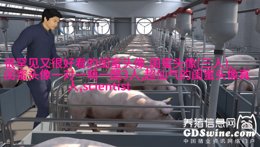 qq头像女生闺蜜两张配一对