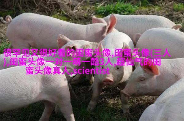 qq头像女生闺蜜两张配一对