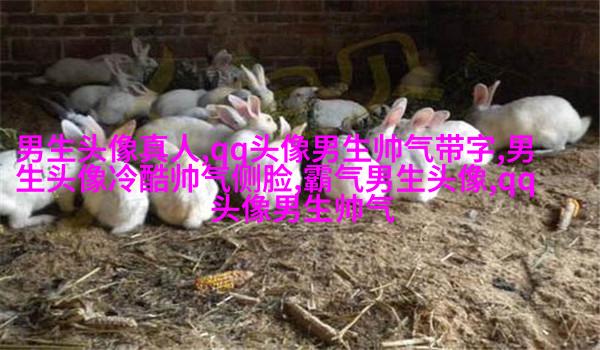 黑白超酷男生帅气qq头像(18张)