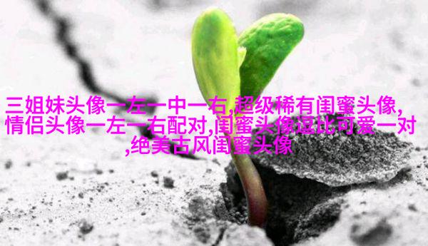 qq闺蜜头像一对两张带字_吵不散的闺蜜
