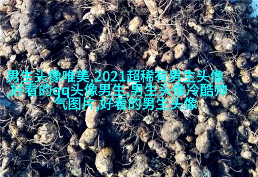 最火头像2023男生图片大全(共24张)