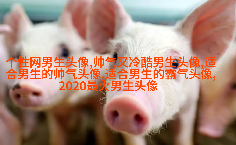 一眼就心动的男生头像图片(共16张)
