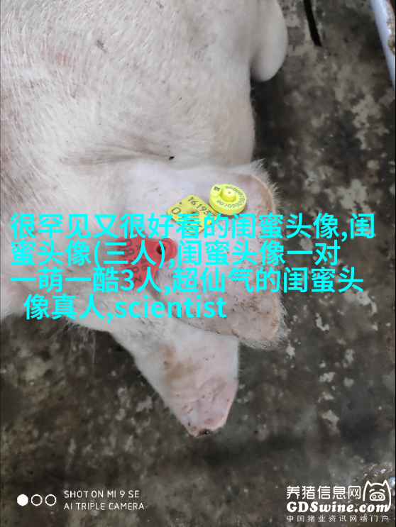 qq头像女生闺蜜两张配一对