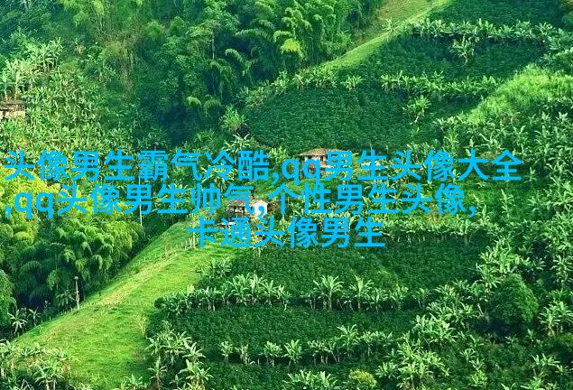 帅气欧美男生qq个性头像图片(22张)