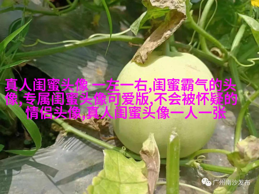 三人姐妹qq头像_专属于姐妹的情谊