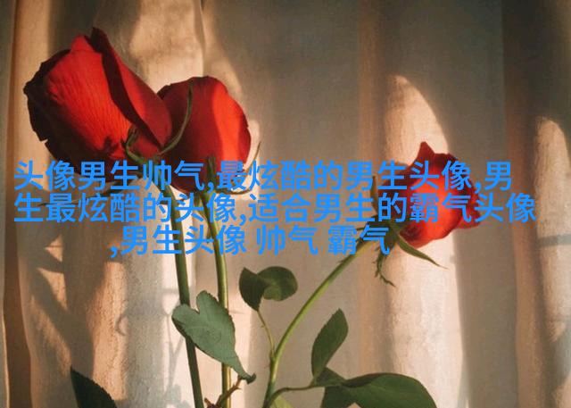 2023年最火爆的男生头像(24张)