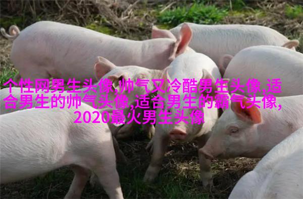 一眼就心动的男生头像图片(共16张)