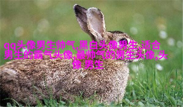 帅气超拽的男生qq头像图片(18张)