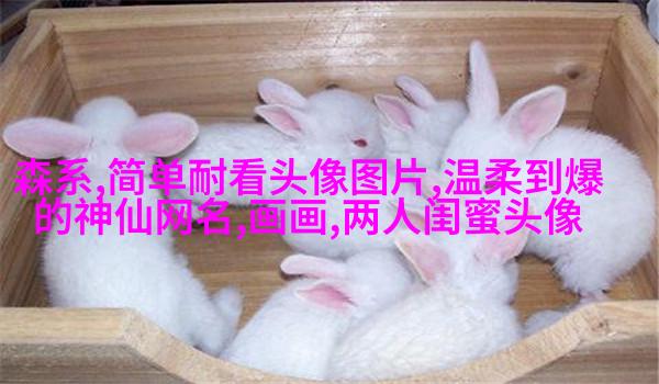 00后闺蜜头像最新版动漫(精选16张)