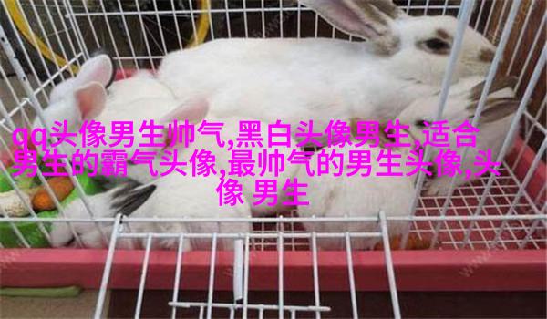 帅气超拽的男生qq头像图片(18张)