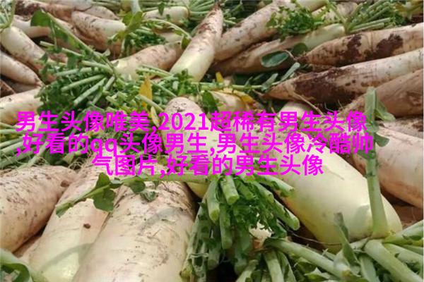 最火头像2023男生图片大全(共24张)