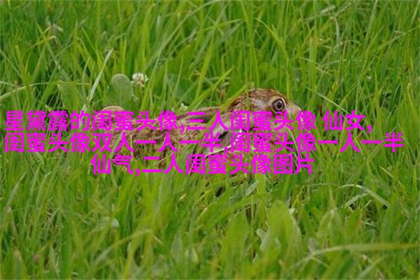 姐妹专属空间头像一对两张