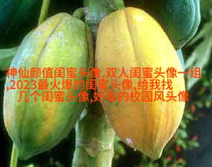 最好看的两人闺蜜头像(精选22张)