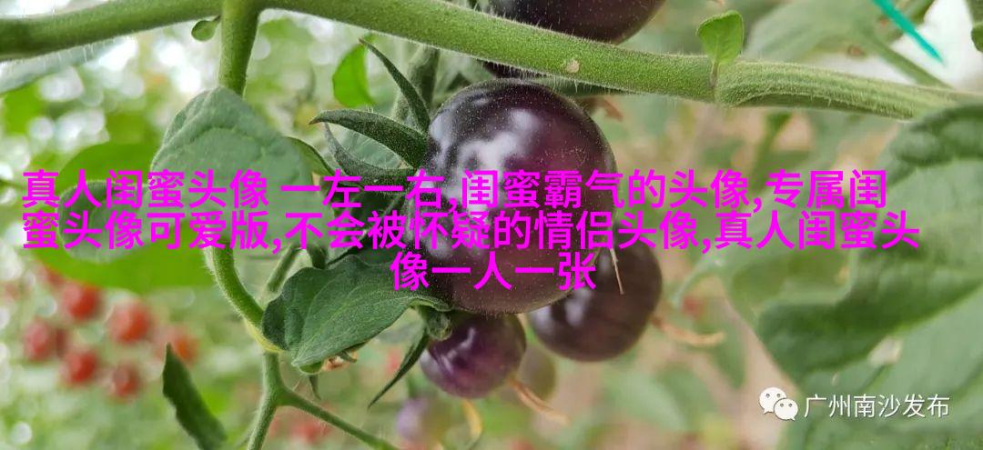 三人姐妹qq头像_专属于姐妹的情谊