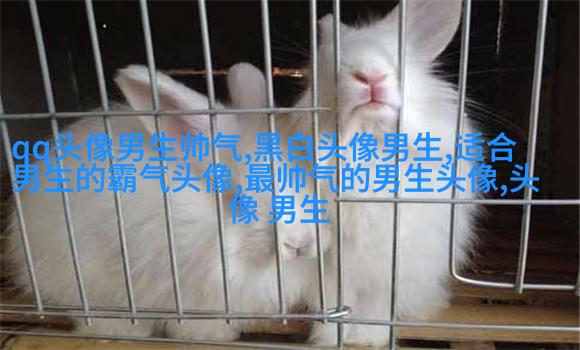 帅气超拽的男生qq头像图片(18张)