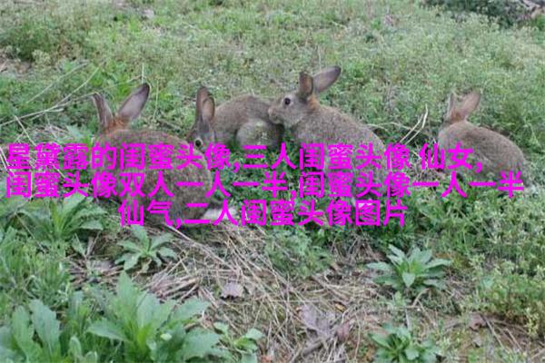 姐妹专属空间头像一对两张