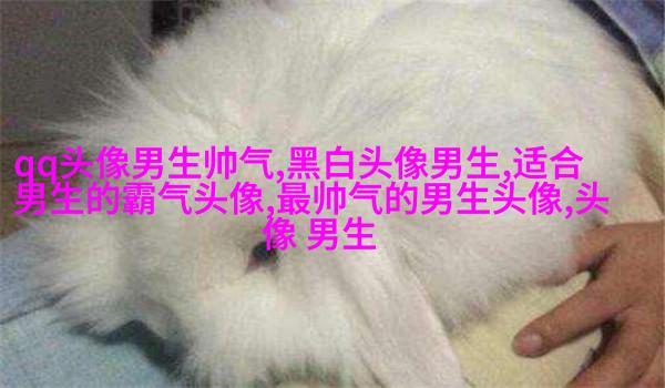 帅气超拽的男生qq头像图片(18张)