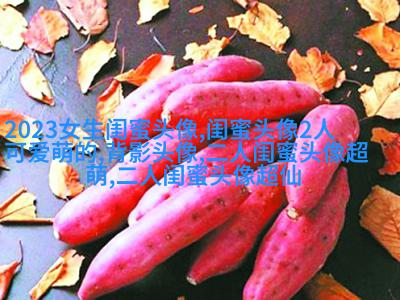 韩范闺蜜头像一对两张
