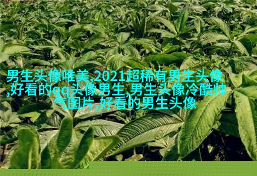 最火头像2023男生图片大全(共24张)