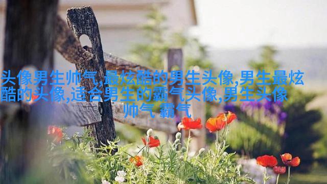 2023年最火爆的男生头像(24张)