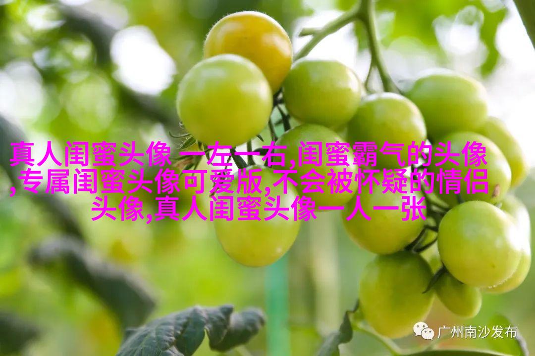 三人姐妹qq头像_专属于姐妹的情谊