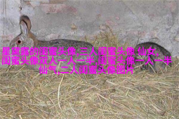 姐妹专属空间头像一对两张