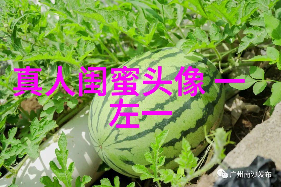 三人姐妹qq头像_专属于姐妹的情谊