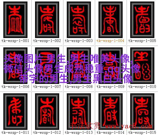 男生最爱的帅气qq头像(18张)