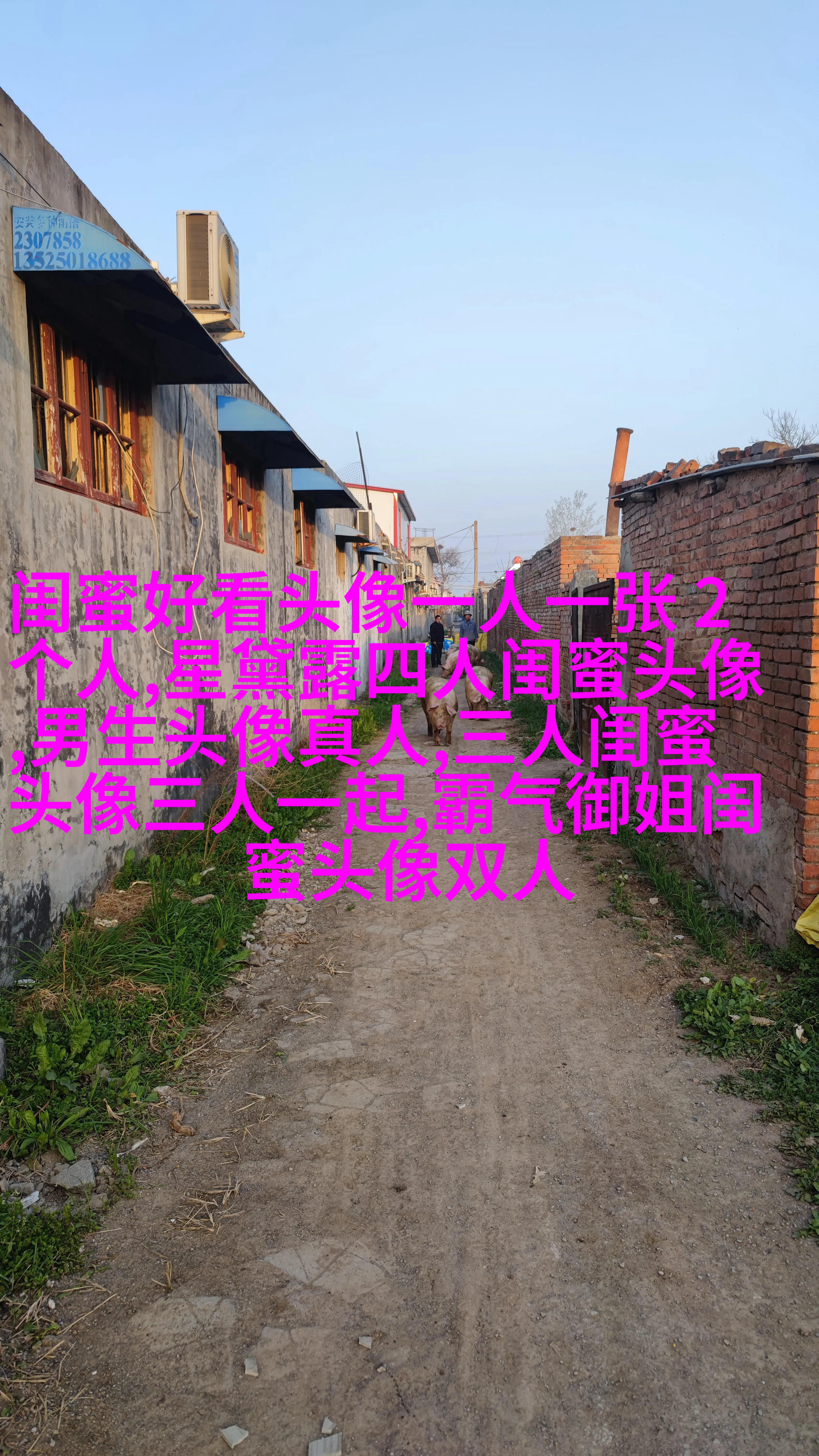 小清新学生范闺蜜贴吧头像一人一张(优选34张)