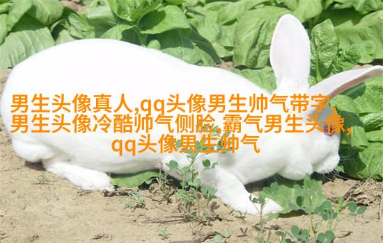 黑白超酷男生帅气qq头像(18张)