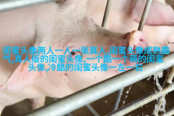 好看两姐妹带字头像