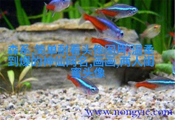 00后闺蜜头像最新版动漫(精选16张)