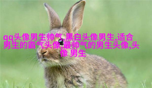 帅气超拽的男生qq头像图片(18张)