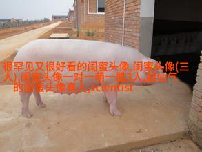 qq头像女生闺蜜两张配一对
