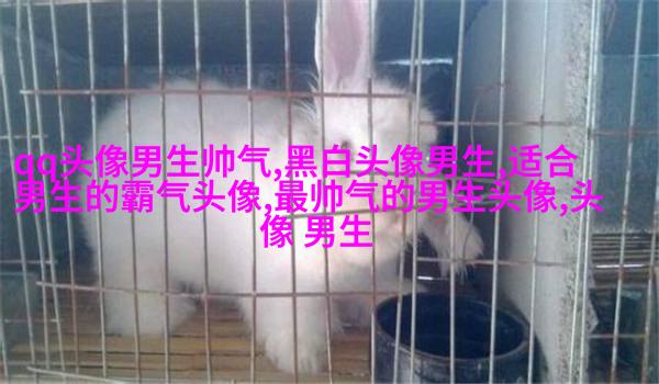 帅气超拽的男生qq头像图片(18张)
